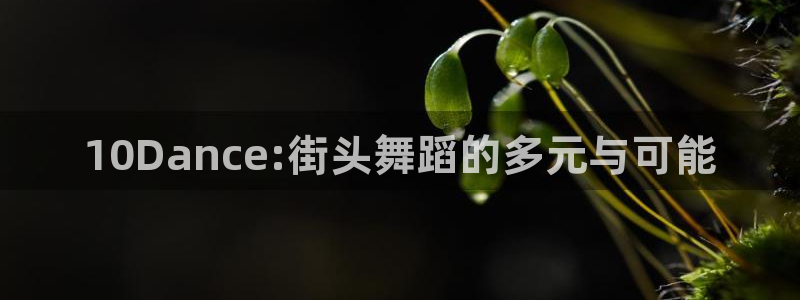 歪歪漫画免费版在线：10Dance:街头舞蹈的多元与可能