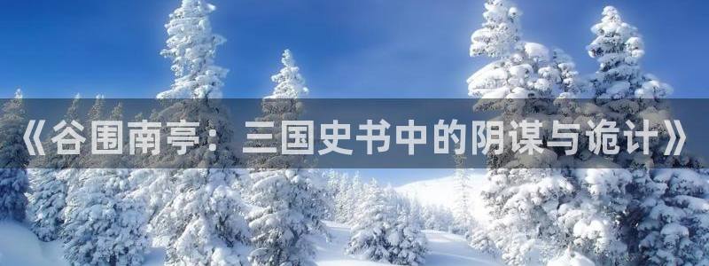 名侦探柯南歪歪漫画：《谷围南亭：三国史书中的阴谋与诡计》