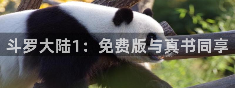 歪歪漫画 漫画全集：斗罗大陆1：免费版与真书同享